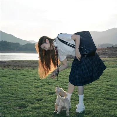 往日的山猫